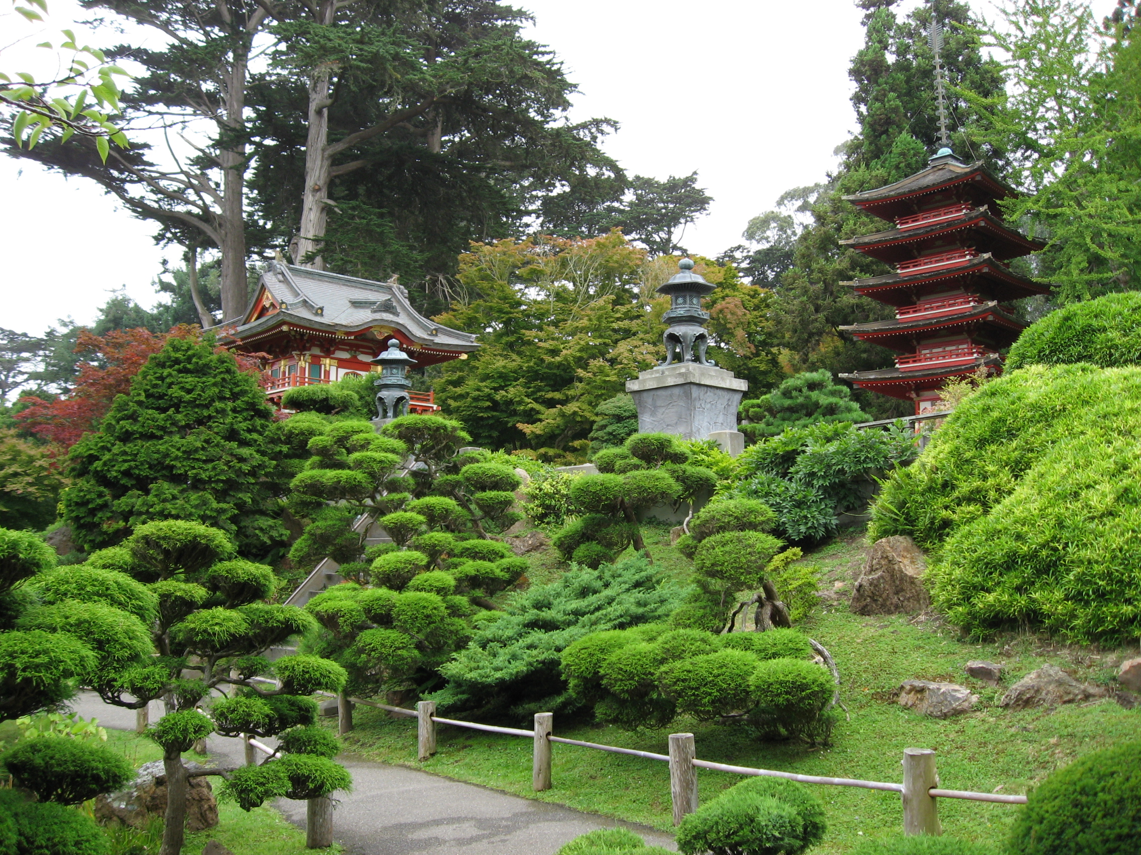 Plants In 2pics The Japanese Tea Garden In Golden Gate Park